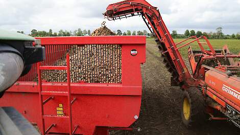 Oogst zetmeelaardappelen van start