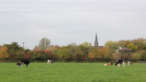 Kerken verpachten landbouwgrond: maar hoe duurzaam is dat beheer?