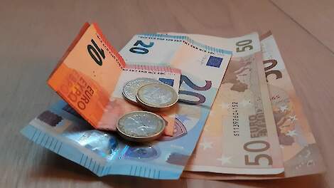 Flevotrade Onions uit Dronten in financiële problemen; bedrijf krijgt uitstel van betaling