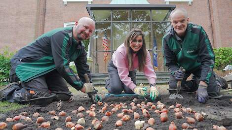 Amerikaanse ambassadeur plant opnieuw ‘Shefali Tulp’: 'Een belangrijk symbool'