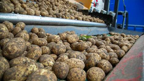 Oktober 2024: intrekking twee werkzame stoffen heeft gevolgen voor onkruidbestrijding in granen en aardappelen