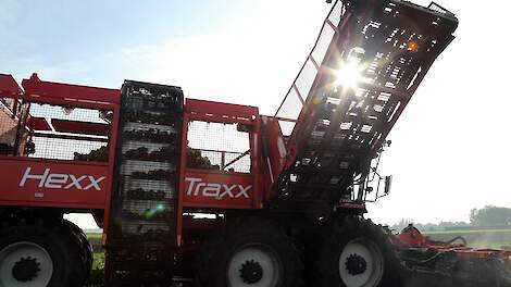 Suikeropbrengst wederom omlaag: 12,2 ton suiker per hectare