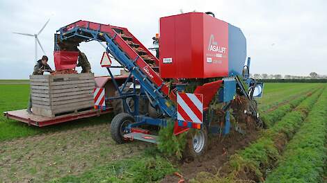 Geringe vraag naar producten grootste uitdaging voor biologische akkerbouw Zeeland