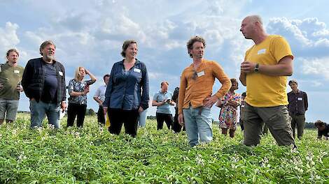 Lekker Lupine en EU-project bundelen krachten duurzame lupine teelt