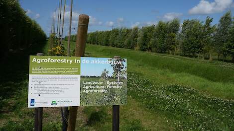 Agroforestry heeft eigen netwerk nodig