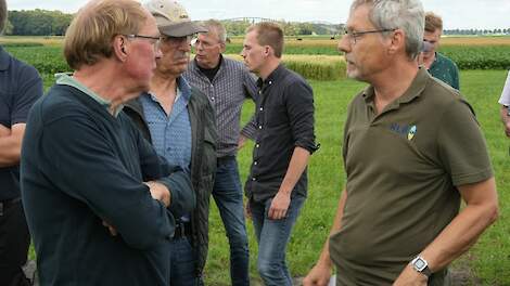 Schepel (HLB): ‘Meeste aaltjes goed onder controle, maar AM verdient aandacht’