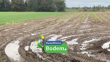 Innovatieve sensor maakt bodemverdichting meetbaar in minuten