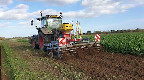 DSV TerraLife groenbemesters