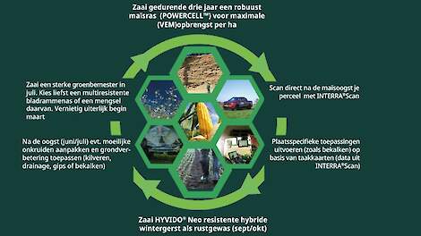 Verhoog je maïs- en gerstopbrengst met slimme rustgewas-strategieën