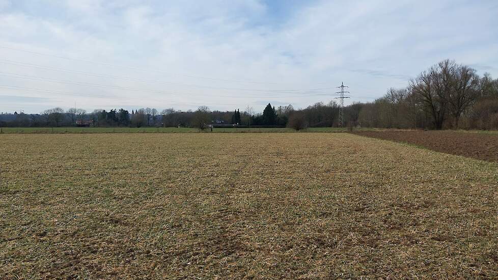 DSV_TerraLife CoolSeason Kleve