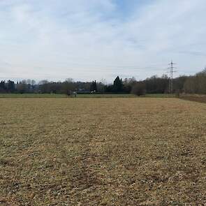 DSV_TerraLife CoolSeason Kleve