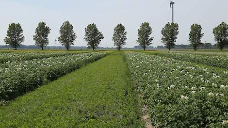 Biologisch landbouwareaal groeit 4,4 procent