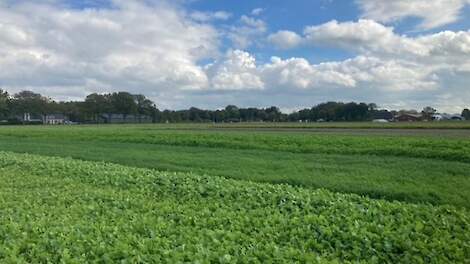 Nieuwe inkomsten met Carbon Farming