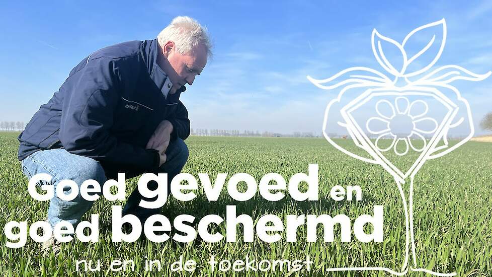 Uw gewassen goed beschermd - update maart