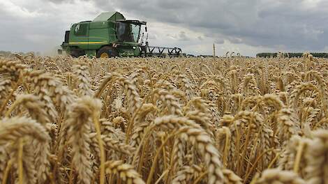 Mondiale graannoteringen standvastig, Nederlandse duidelijk in de min