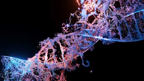 EU-lidstaten bepalen eindelijk hun positie over CRISPR-Cas; onderhandelingen in Brussel kunnen beginnen