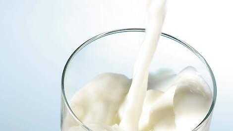 Een kleine groep mensen is allergisch voor koemelkeiwit. Producten die met melk zijn behandeld kunnen voor deze groep een risico vormen.