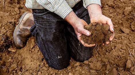 Van grond tot goud: 7 bodemtips voor telers met ambitie