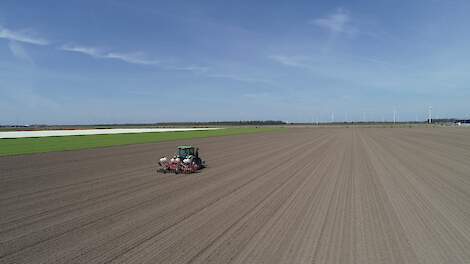 Dubbele bescherming tegen aaltjes en insecten in uien en wortelen