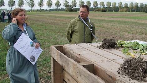 Maria-Franca Dekkers: ‘Groenbemesters nemen negatieve druk op biodiversiteit weg’