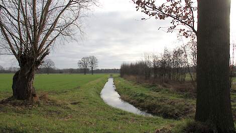 Boeren in Tweede Kamer: ‘Maak het volgend GLB eenvoudiger en groener’