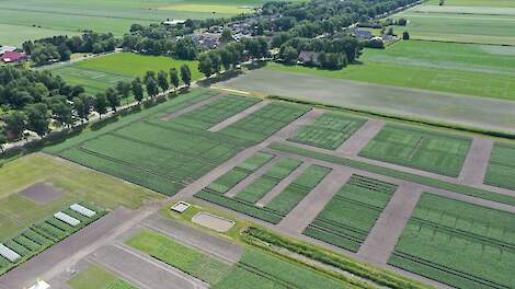 Beeld van proefboerderij Valthermond ter illustratie.