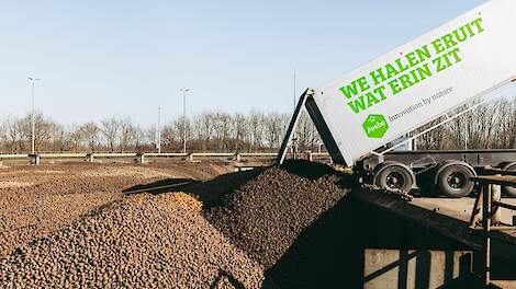 Royal Avebe sluit aardappelcampagne: ‘In verhouding goede opbrengsten’