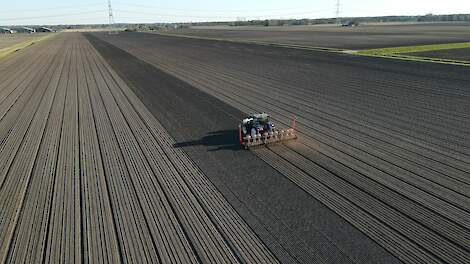Geïntegreerd teeltsysteem moet uienteelt op zand- en dalgronden in de benen houden