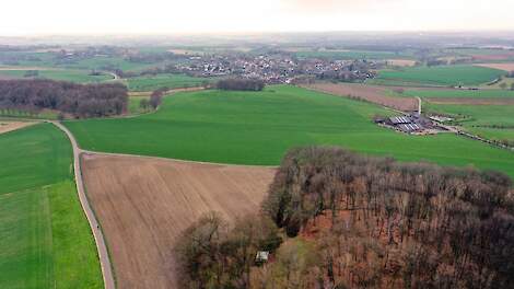 Resultaten enquête Agrio: Boeren redelijk positief over stikstofplannen Wiersma