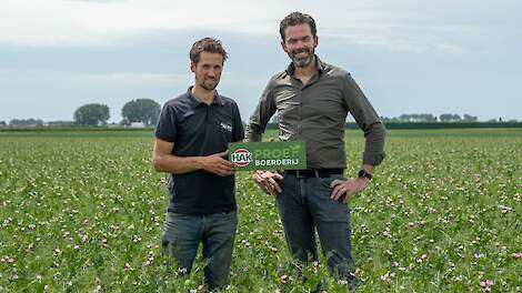 Groentebedrijf HAK pleit voor btw-verlaging op Nederlandse biologische producten