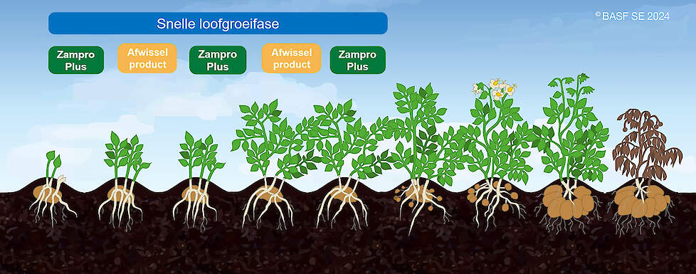 Adviesschema Zampro Plus