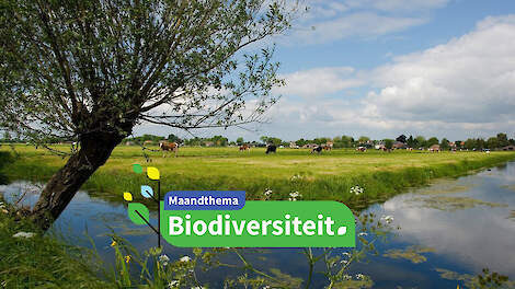 Natuur en Landbouw: Partners in de Vechtplassen