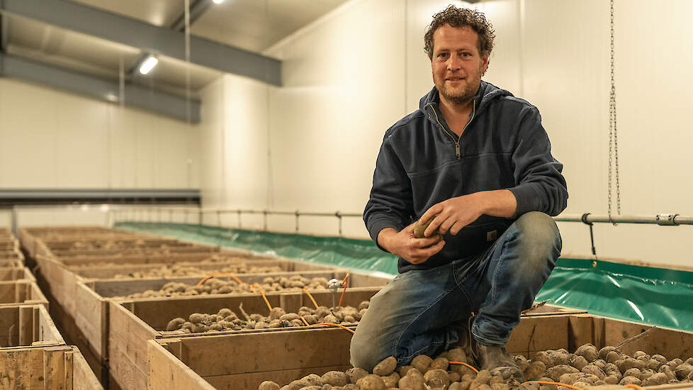 In 2024 bouwde René van den Dries een kistenbewaring voor de opslag van consumptieaardappelen, zaaiuien en wortelen. Dat biedt flexibiliteit gedurende het jaar en geeft grip op kwaliteit.