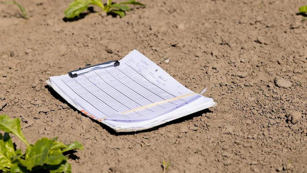 Een telbordje met een waarnemingsformulier om het aantal bladluizen, andere schadelijke insecten en natuurlijke vijanden te noteren op een IRS-proefveld.