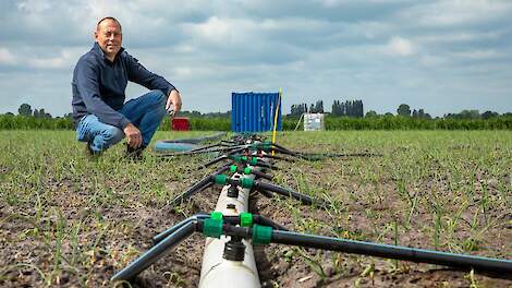 Fotoserie: Uien telen met precisie: ‘Je krijgt meer inzicht in wat een ui nodig heeft’