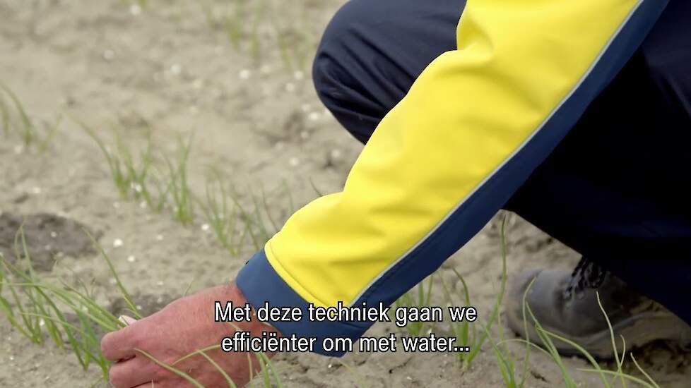 Fertigatie: de sleutel tot efficiënte teelt met 15% hogere opbrengst