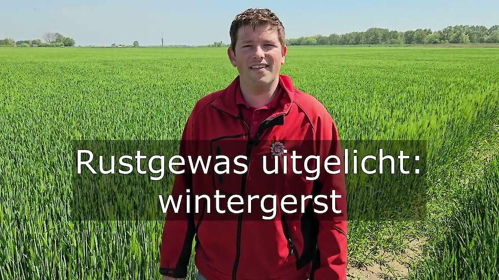 Rustgewas uitgelicht: wintergerst | LG Seeds