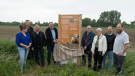 Zeeuwse gewassenborden slaan brug tussen landbouw en consument