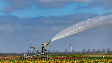 ‘Neerslag geeft verlichting, maar betekent nog geen einde aan droogte’