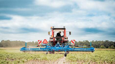 Akkerbouwer Lap wil verduurzamen: Een zoektocht naar passende teelten