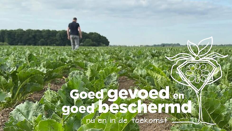 Uw gewassen goed beschermd | update juni 2025