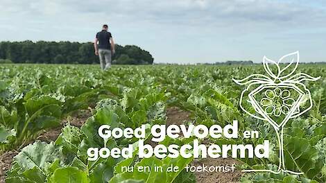 Uw gewassen goed beschermd | update juni 2025