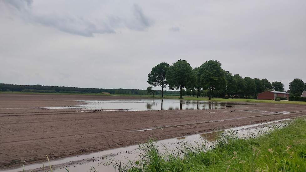 Inzet van TerraLife groenbemesters verbetert de waterinfiltratie: perceel direct na een hoosbui...