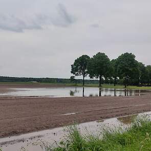 Inzet van TerraLife groenbemesters verbetert de waterinfiltratie: perceel direct na een hoosbui...
