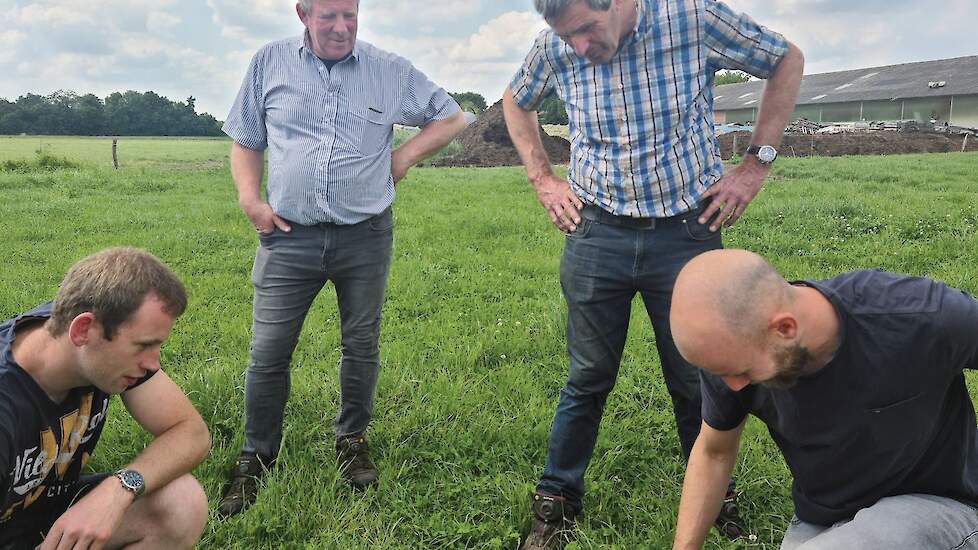 Marc, Gerard en Thieu in het veld waar aanwezige Sietse Hartman een kuilprofiel maakt.