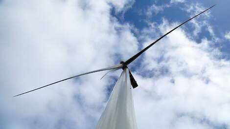 Raad van State: Onderzoek 'gevaarlijke coatings' op windmolens