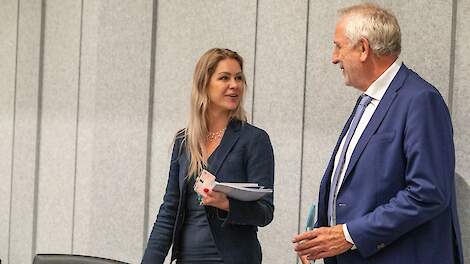 Column: Wiersma moet mee naar de rechtbank