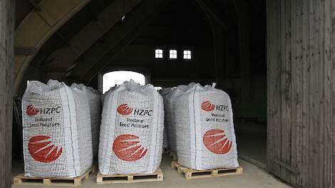Export pootaardappelen stijgt met 14,7 procent