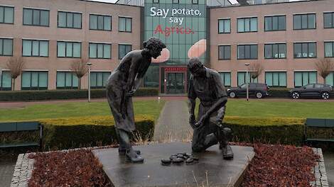 Nat voorjaar en phytophthora drijven prijs biologische aardappelen Agrico op