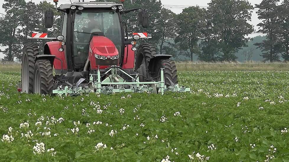 Machinaal coloradekevers meppen en verzamelen